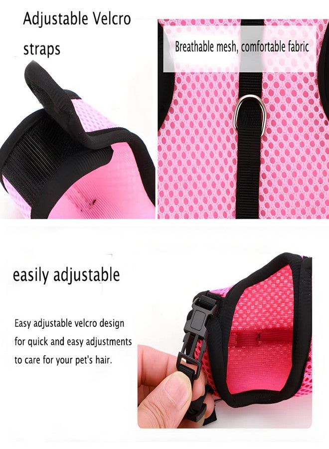WeimoMonkey Rabbit Leash and Harness Set Escape Proof, Bunny Vest Hamster Leash Set Mesh Eescape Proof Walking Training for Small Animal Pets Rat Squirrel Ferret Guinea Pig Bunny,Blue L - Image 3